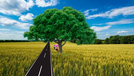 Видишь капибара? А он есть! by Роман Г